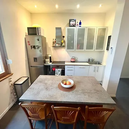 Apartment Cosy & Confort - Jardin La Wantzenau