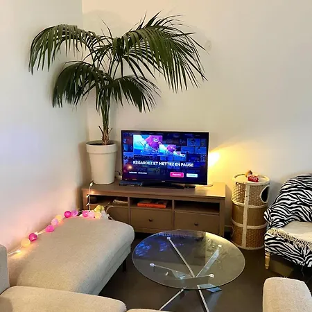 Cosy & Confort - Jardin *